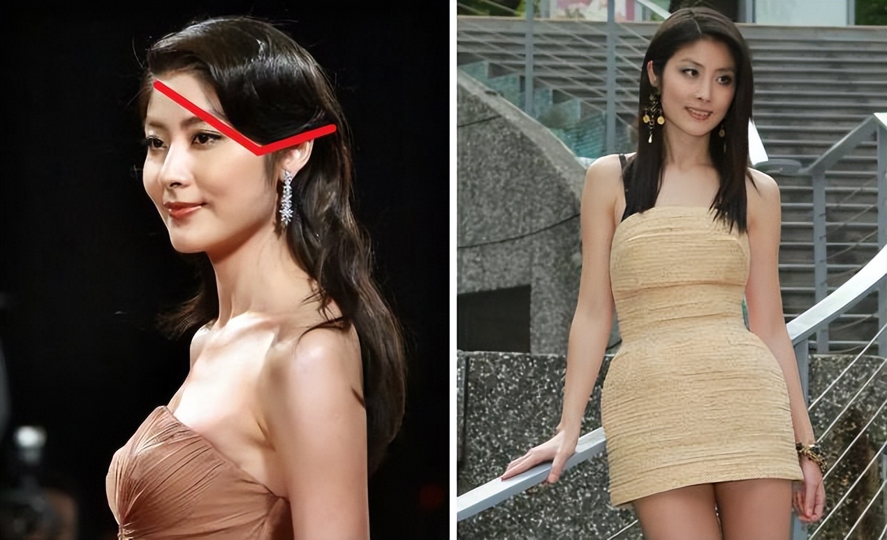 脸大如何变美_中国中年女明星_大脸美女气质中年女星