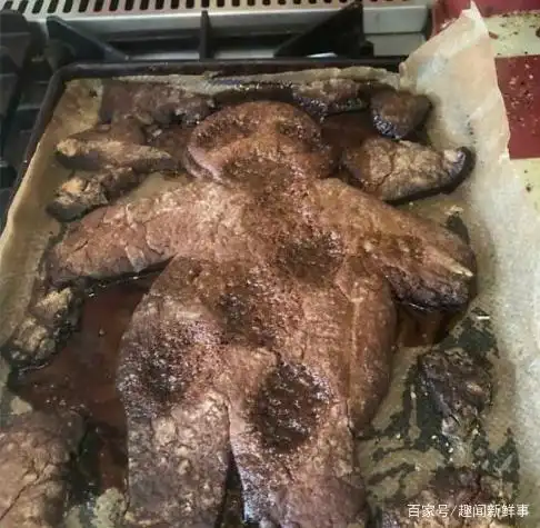 烤箱食物失败案例_煮鸡蛋爆炸_明星黑暗料理图片大全高清,